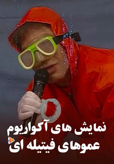 نمایش های آکواریوم با عموهای فیتیله ای